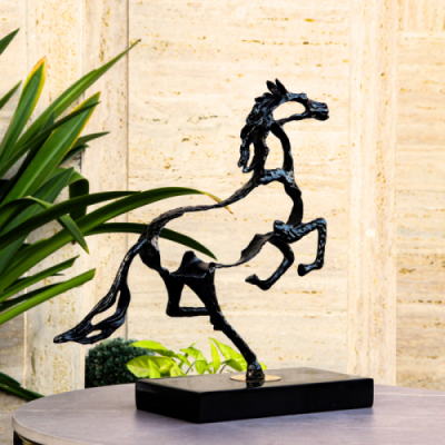 SHADOW GALLOP